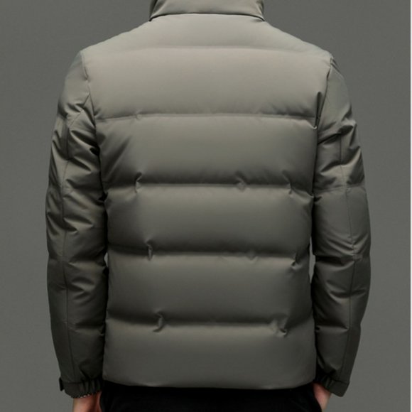 Light Luxury - Men's Fashionable Thickened Down Jacket - Picture 4 of 16